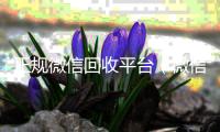 正规微信回收平台（微信回收平台联系方式）